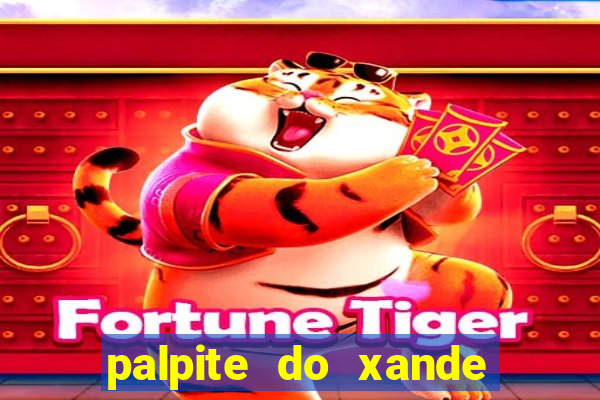 palpite do xande para hoje